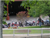 A view of Beacon Street East Bike Week 2009