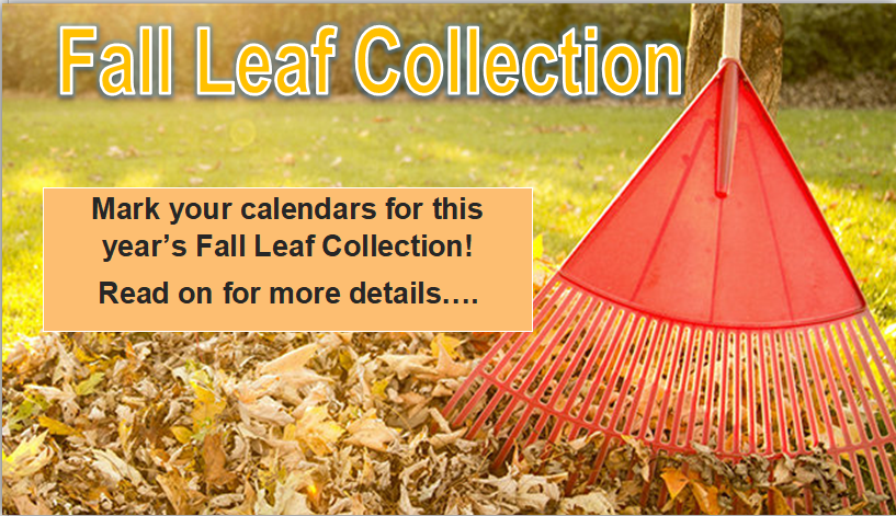 Fall leaf collection 2024