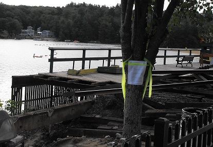 Permit posted on a tree