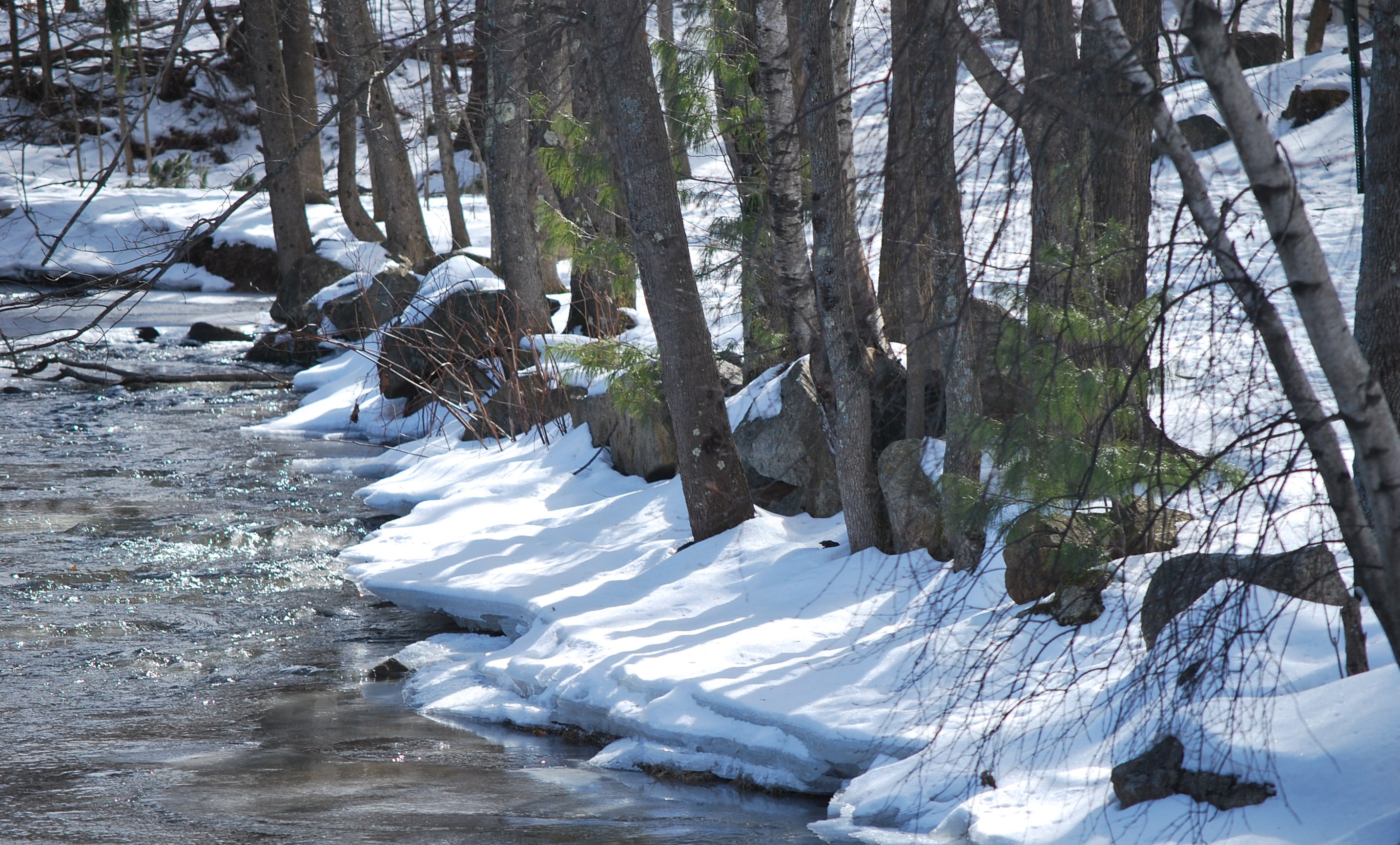 Jewett Brook at Tardif Park in winter
