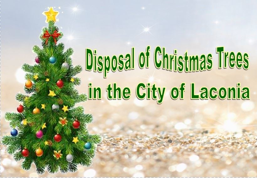 Disposal of Christmas Trees