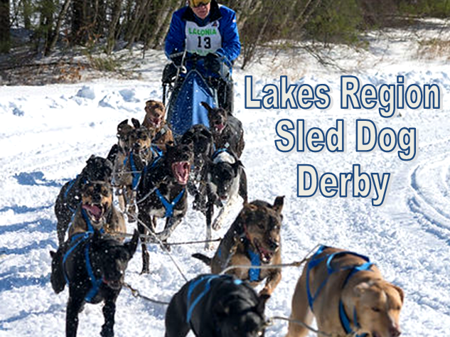 Lakes Region Sled Dog Derby
